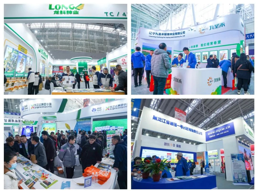 三十而励，持续发力，2024哈种博(HSIE)全面升级，向新而行！