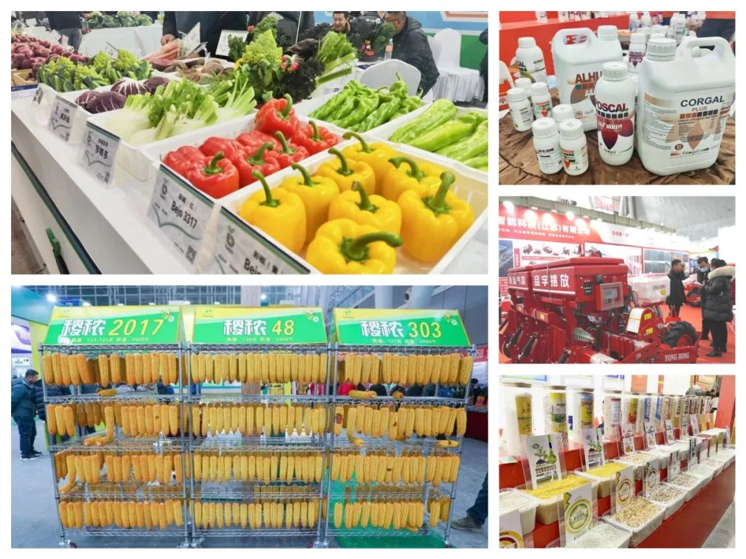 三十而励，持续发力，2024哈种博(HSIE)全面升级，向新而行！