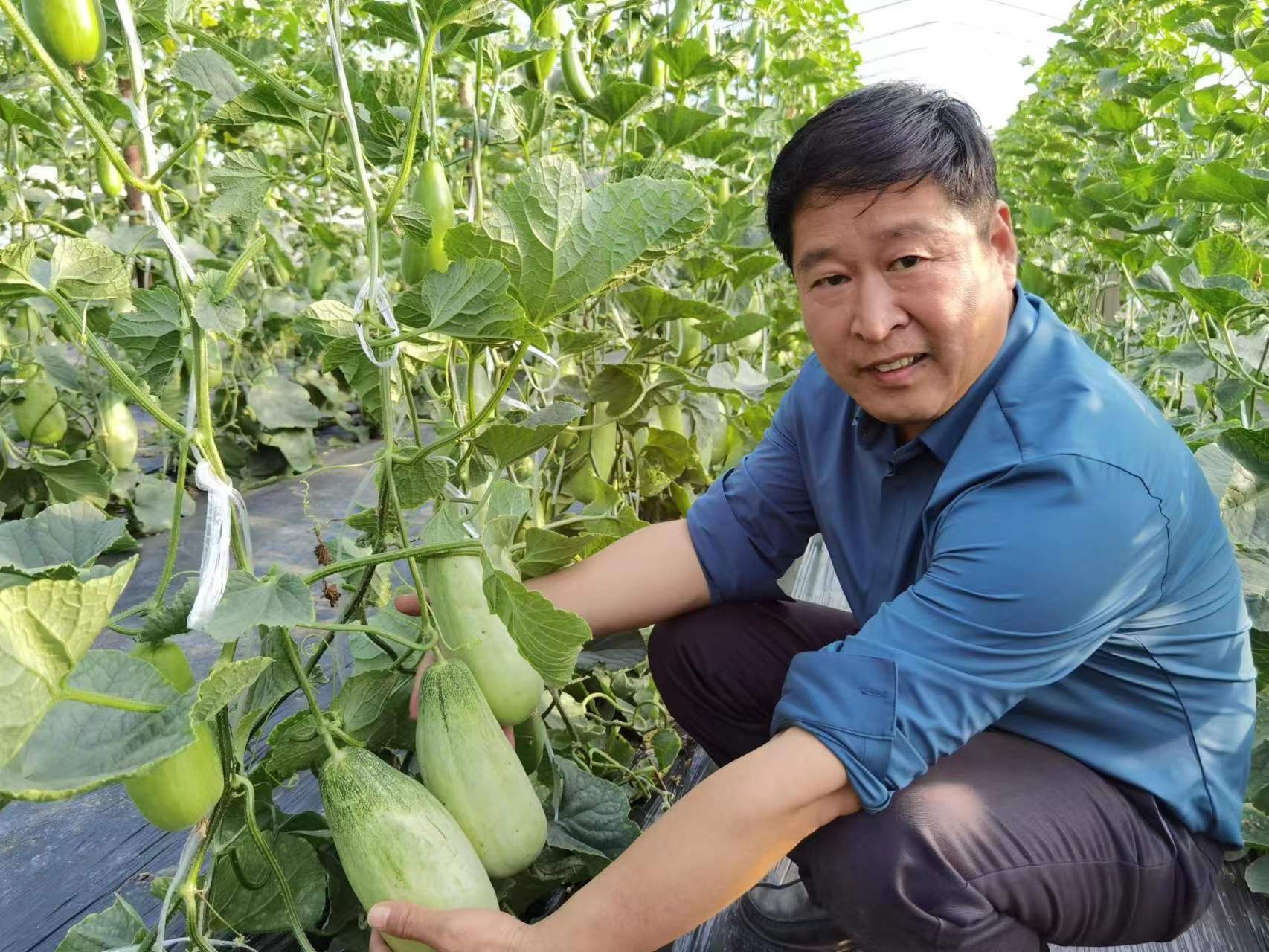 《当代科学家》专题：碳氢核肥掀起我国农业绿色革命