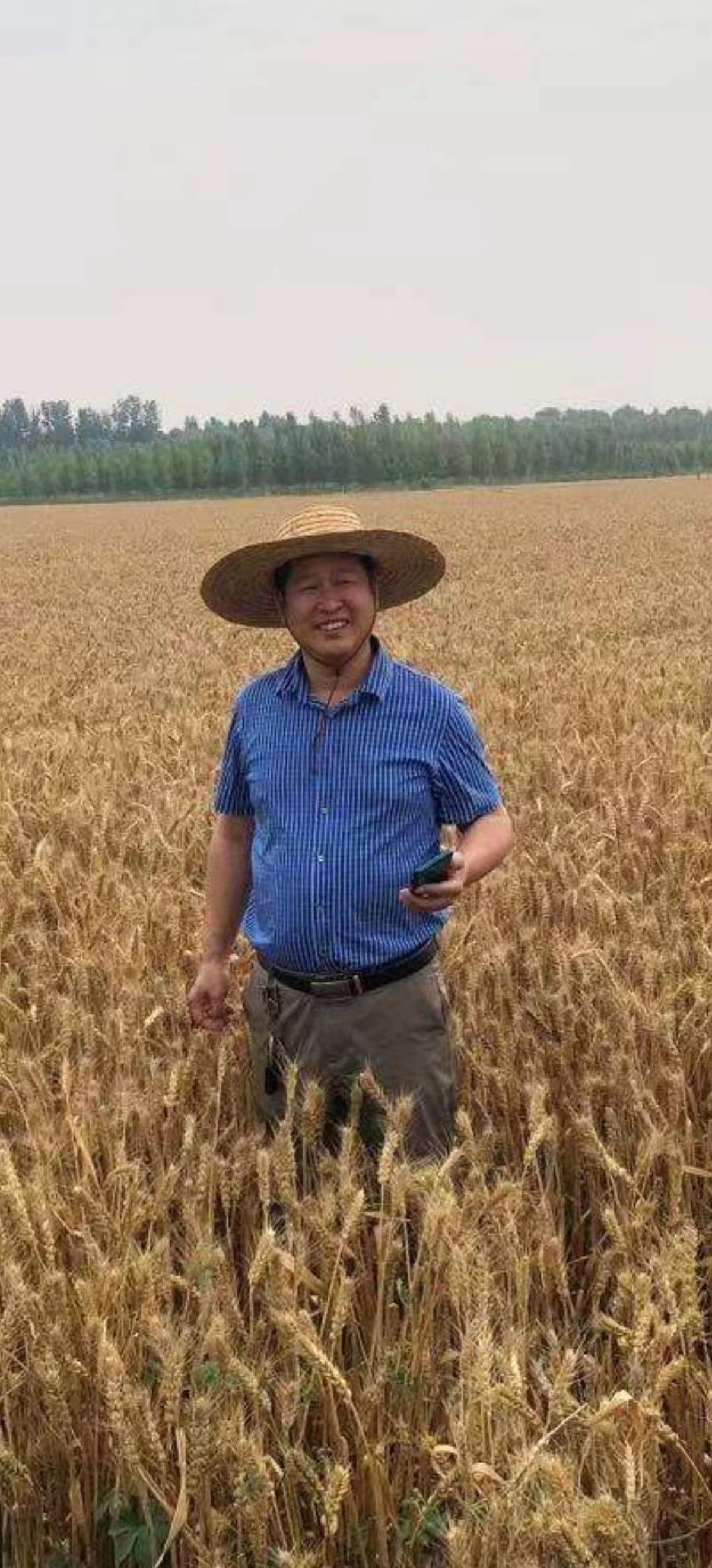 《当代科学家》专题：碳氢核肥掀起我国农业绿色革命