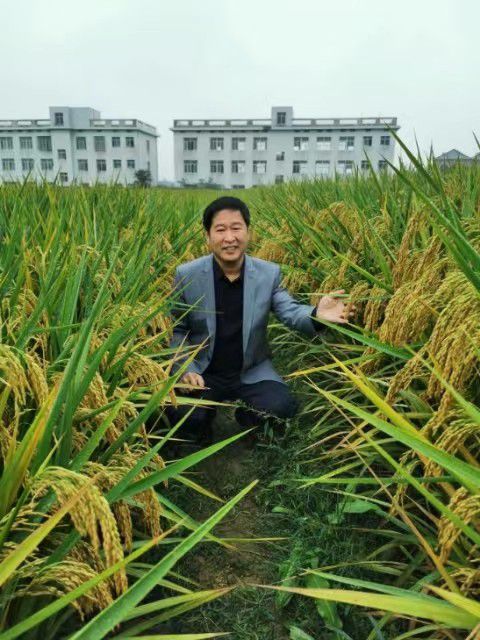 《当代科学家》专题：碳氢核肥掀起我国农业绿色革命