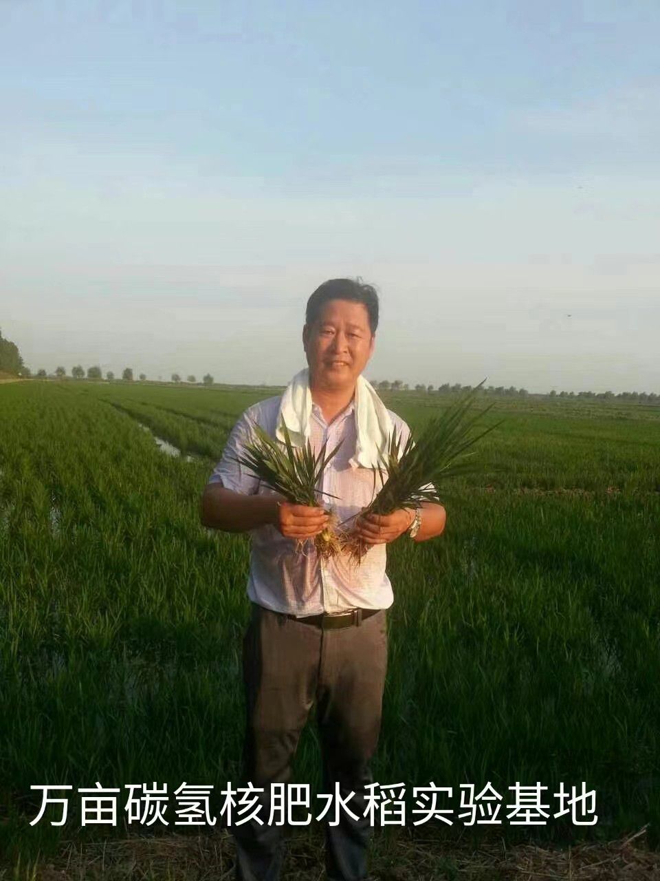 《当代科学家》专题：碳氢核肥掀起我国农业绿色革命