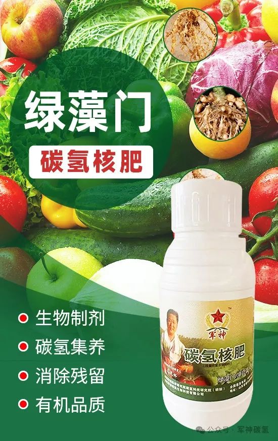 碳氢核肥调理盐碱地突出贡献!